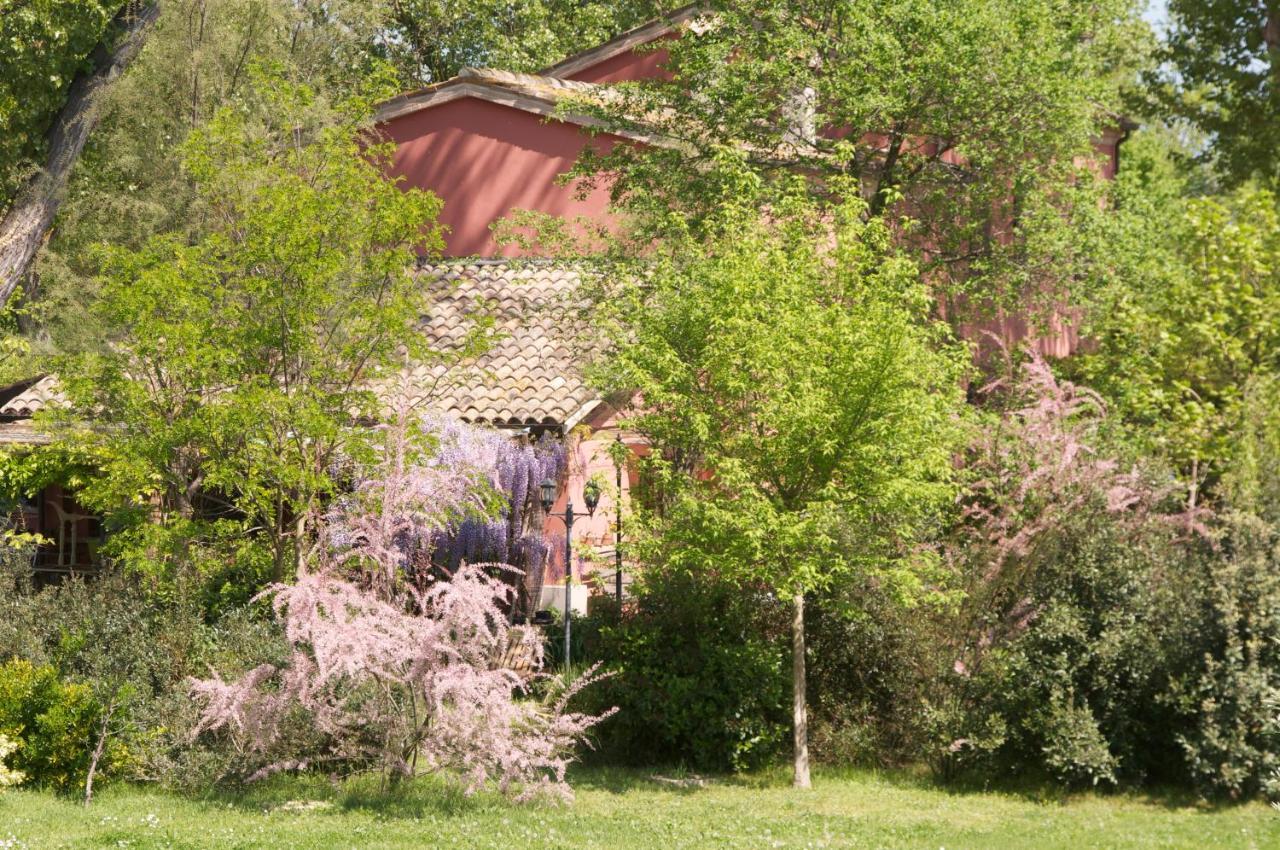 Ca' Barbona Bed & Breakfast Lido di Classe Exterior photo