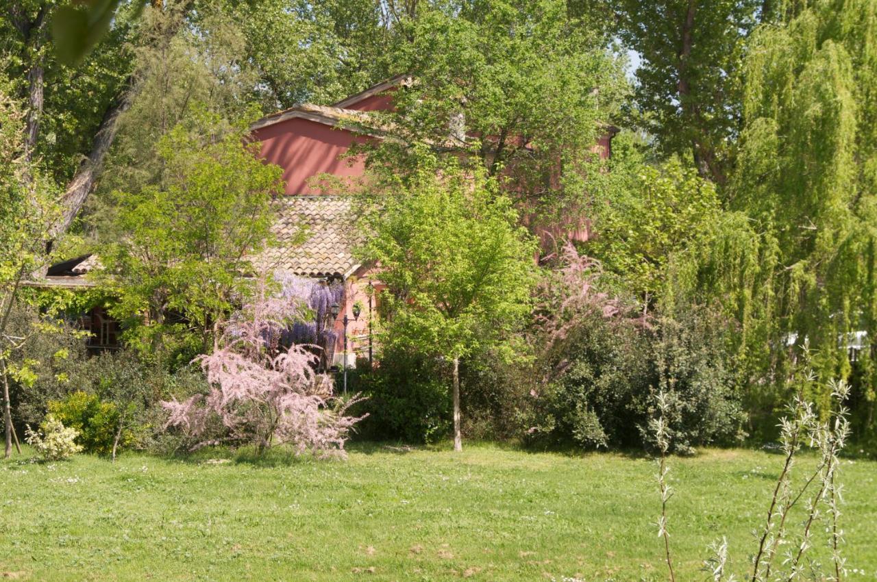 Ca' Barbona Bed & Breakfast Lido di Classe Exterior photo